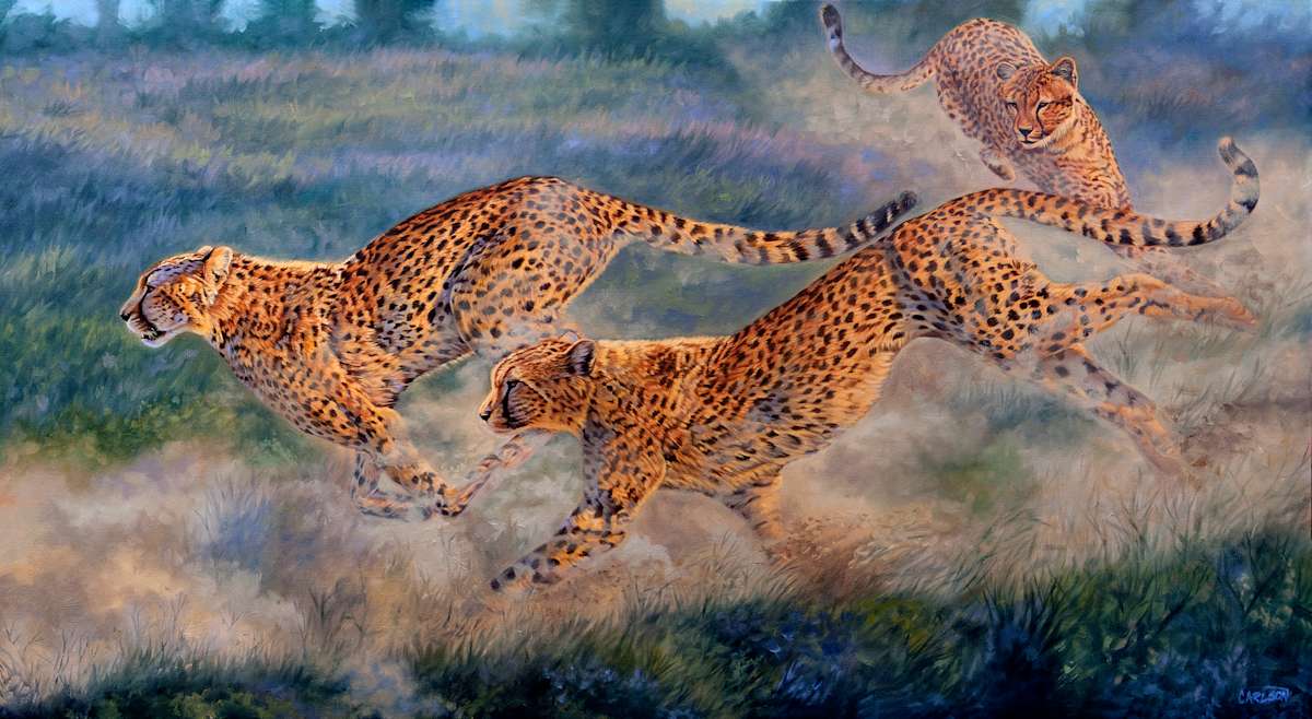 In Pursuit 