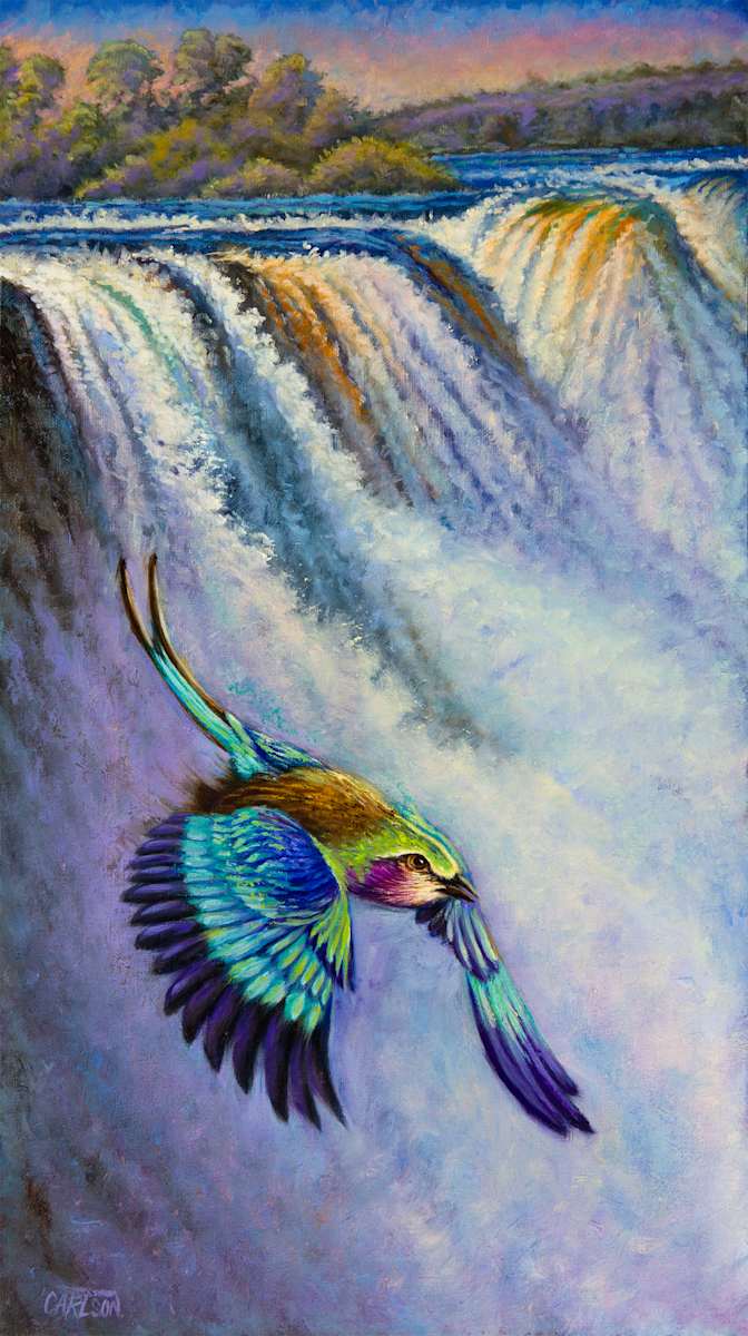 Misty Edge  Image: "Victoria falls is one of the most 
spectacular falls and is the largest 
curtain of falling water in the world. 
A dazzling mixture of deep azure and 
turquoise creates one of the most 
beautiful and vibrant birds in all of 
Africa, the Lilac Breasted Roller. With 
“Misty Edge,” I wanted to express the
combination of rich beauty, and 
acrobatic skills of the Roller set before
the majestic falls.”
