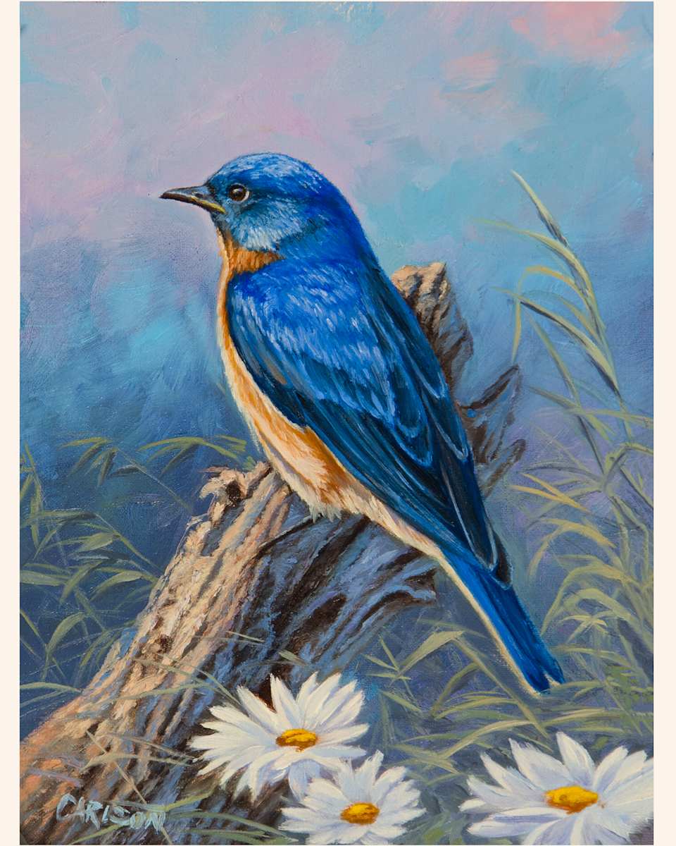 Morning Blue by cory Carlson 