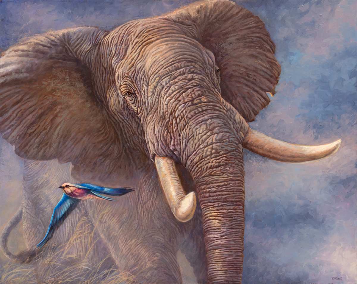 Power and Grace by cory Carlson 