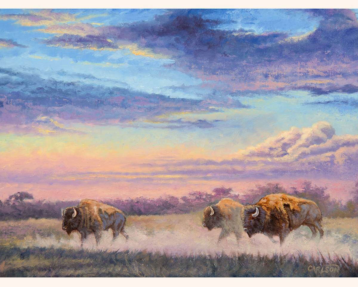 Prairie Dawn by cory Carlson 