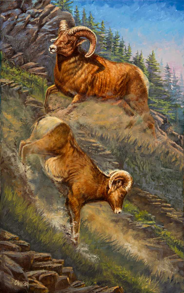 Rocky mountain descent 