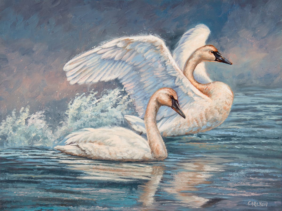 Sail Away by cory Carlson, Image 1.