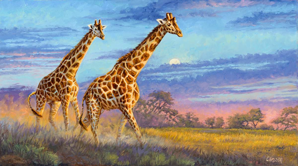 Serengeti Moonrise  Image: Watching the giraffe herds loping and striding 
across the plains is one of my favorite 
memories of Africa. Crossing the vast plains, 
the tallest of the land creatures create 
distinctive shapes and silhouettes against 
the dusty landscape, blending into space 
where the sky meets the earth.