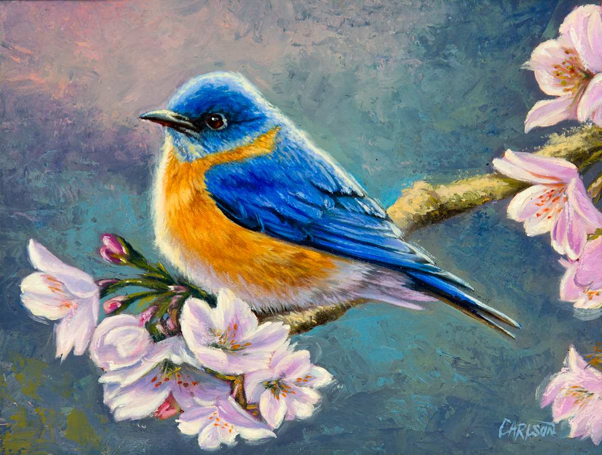 Shades of Blue by cory Carlson  Image: The site of a vibrant bluebird always lifts my 
spirit and brightens my day! Bluebirds are 
harbingers of happiness and spring. The sense 
of joy and hope when seeing these beautiful
 birds is my inspiration for “Shades of Blue.”

Bluebirds are frequent and welcome visitors to 
the open spaces between our home and the
lake. We often spot the bluebirds swooping and
dipping over the grasses catching flying insects.

I always enjoy the chance to work with the most
vibrant pigments and the challenge of painting 
colorful birds. Carefully and thoughtfully 
applied layers of paint become rich colors as 
I seek to bring a sense of life and a moment in
time to each painting.