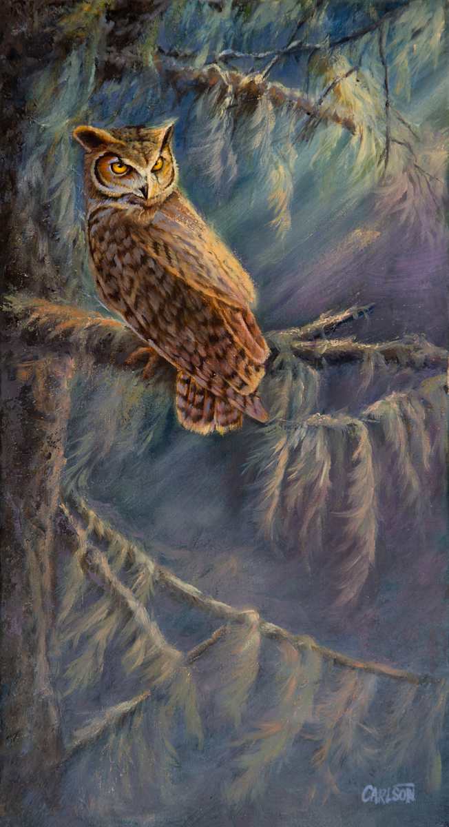 Shrouded Forest by cory Carlson 