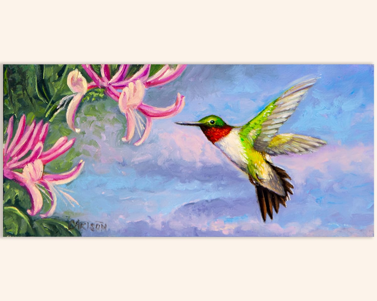 Summer Visitor by cory Carlson, Image 1.