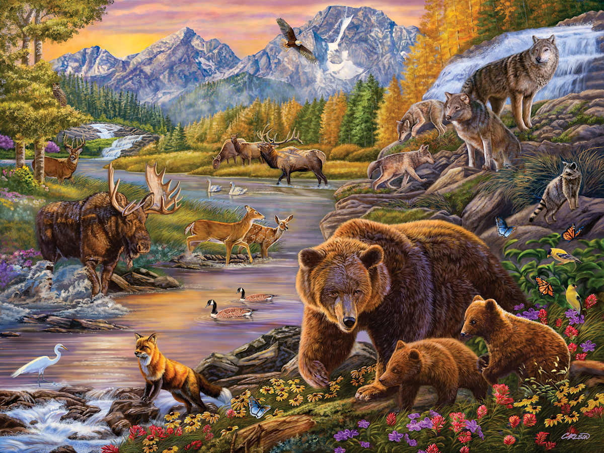 Wildlife Crossing 