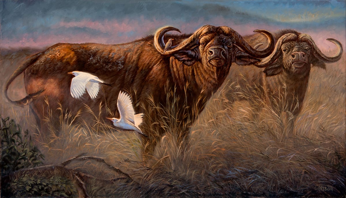 Bad Boys by cory Carlson, Image 2.