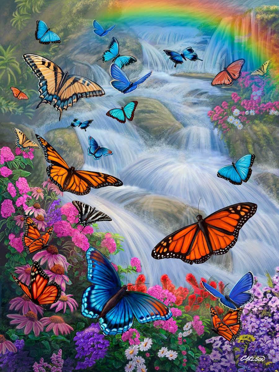 Butterfly Paradise, Image 1.