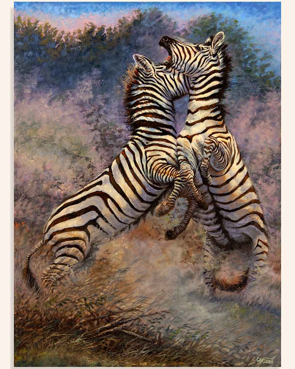 Clash of the Titans II by cory Carlson  Image: Imagine the thrill of witnessing these powerful 
beasts emerging from the billowing dust, 
sparring for dominance among a timeless 
landscape.  Nature and its wildlife can bond 
deeply to one's soul. She is imbued with 
never-ending stories and breathtaking drama.  
I believe art can be transformative, connecting 
us with nature's magic and beauty.  I strive to 
capture these experiences and inspire others 
to help protect our wild places, allowing the 
viewer to reconnect with the thrill of wild places.