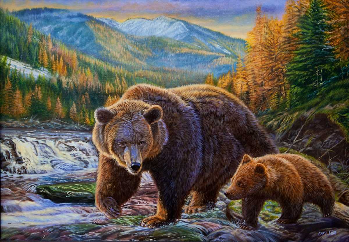 First Autumn by cory Carlson 