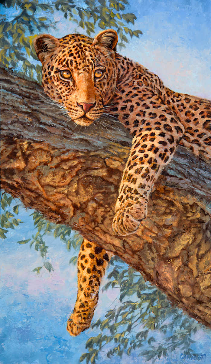 Leopard Repose by cory Carlson  Image: I enjoy the challenge of painting the beautiful and elegant leopard. I feel fortunate to have observed these wild and elusive cats many times during my travels. This particular painting, titled "Leopard Repose", takes me back to a morning where I had the amazing opportunity to watch this large cat for several hours. I love the restful yet alert expression of the leopard in this piece.