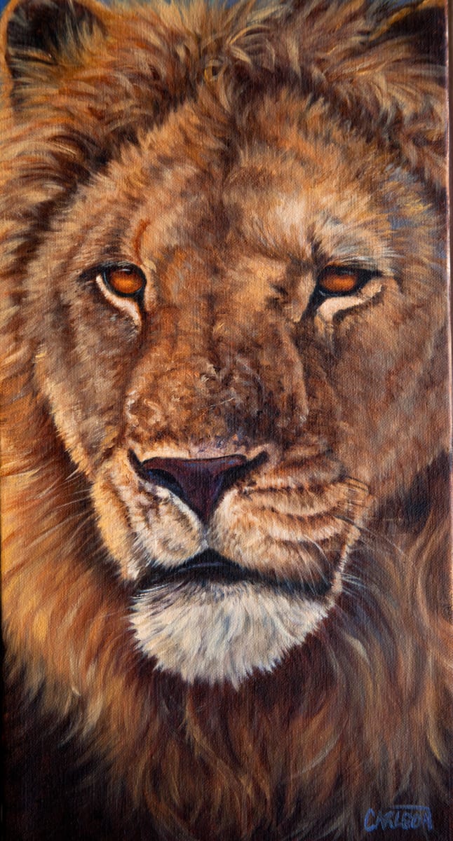 African Lion, Image 1.