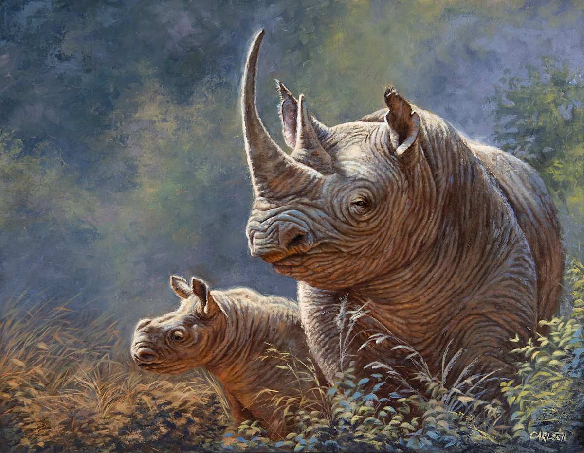 Khuseleka by cory Carlson 