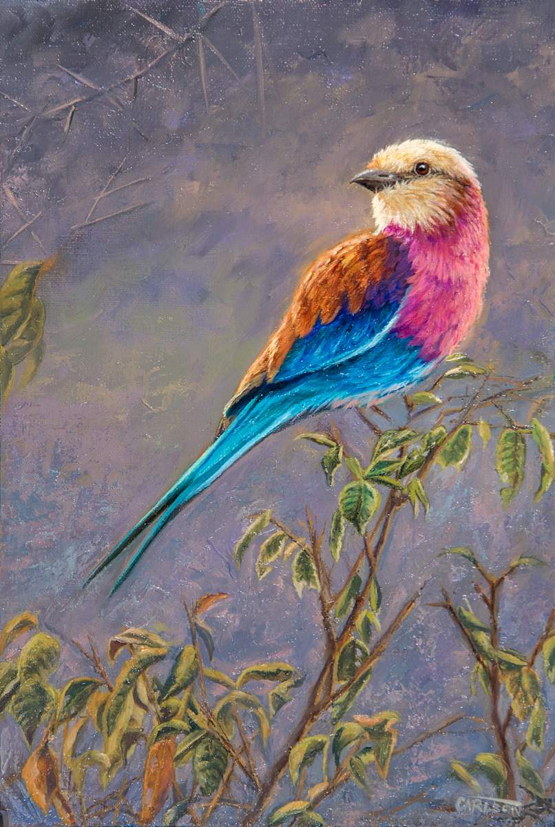 Brilliance by cory Carlson  Image: The lilac-breasted roller is one of my
 favorite birds to observe and paint. 
Whenever I visit Africa, I am delighted 
to spot the first roller!   With eight 
different feather colors, this fearless
beauty is one of Africa's most 
spectacular and favorite birds. 