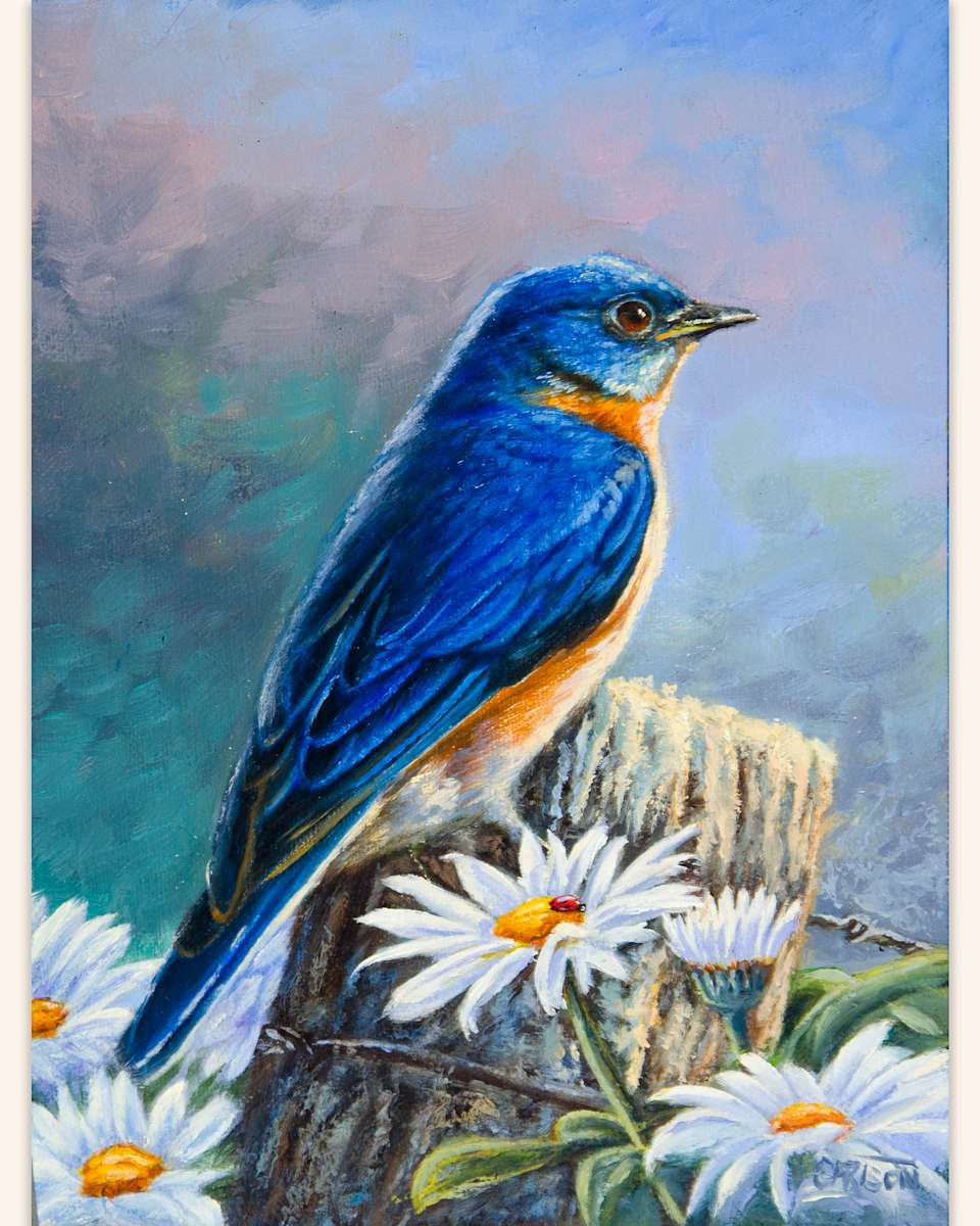 Perfect Blue by cory Carlson 