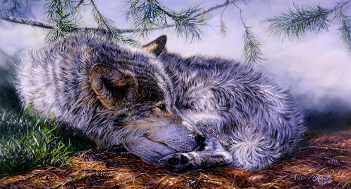 Siesta, Image 3.