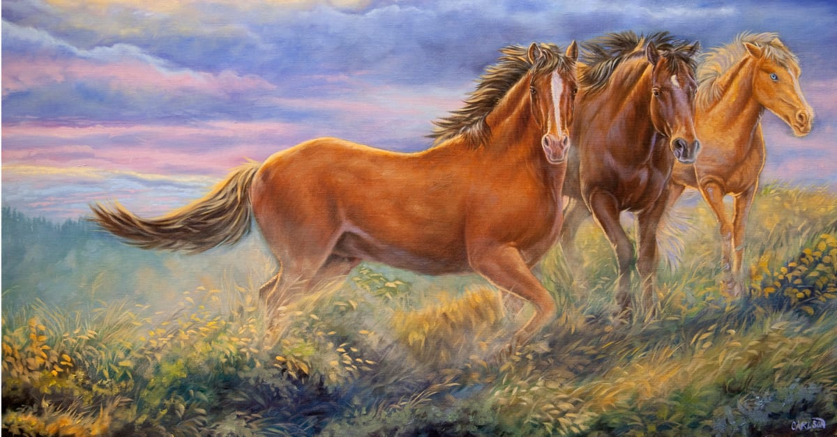 Wind Dance, Image 1.