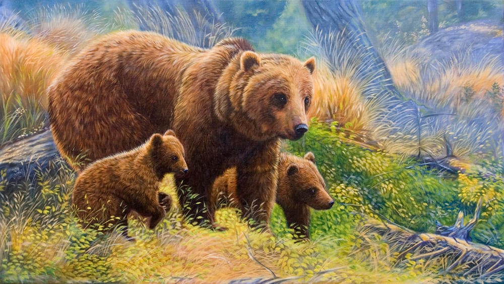 Young Explorers, Image 1.