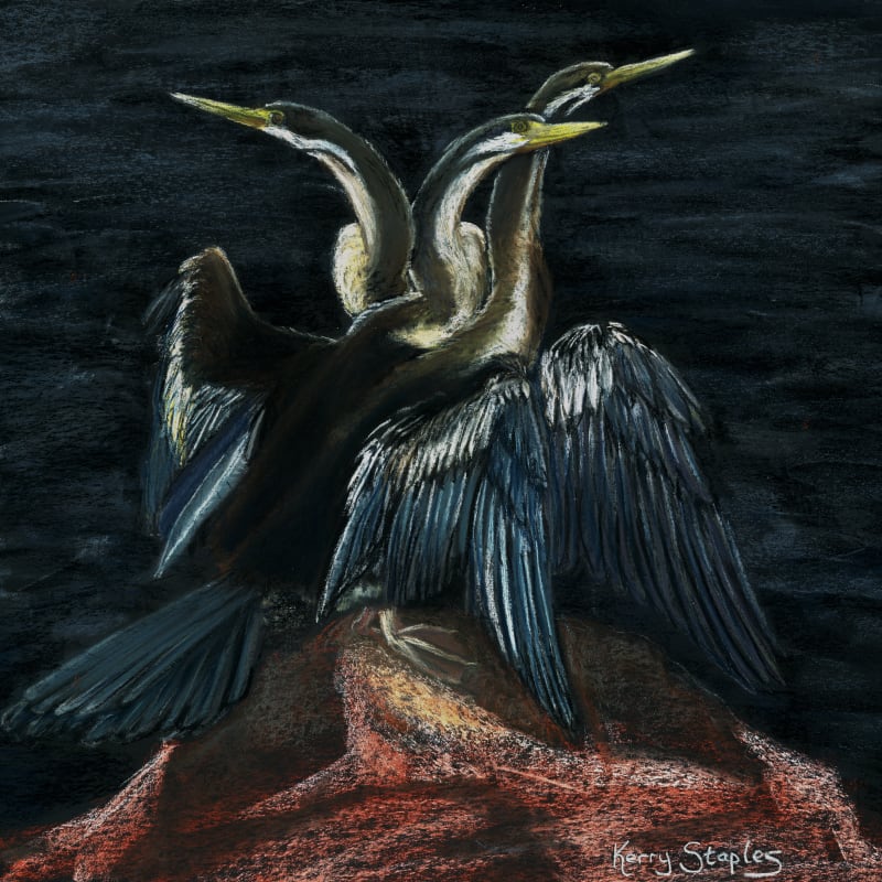 Darters #1, Image 1.