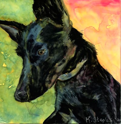 Schooner by Kerry Staples 