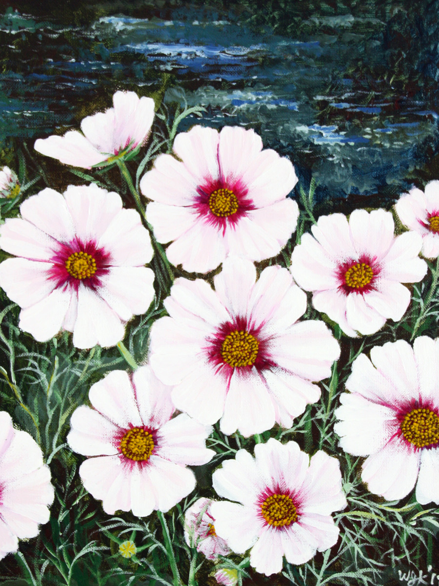 Cosmos on Pond by Wendi Knape 
