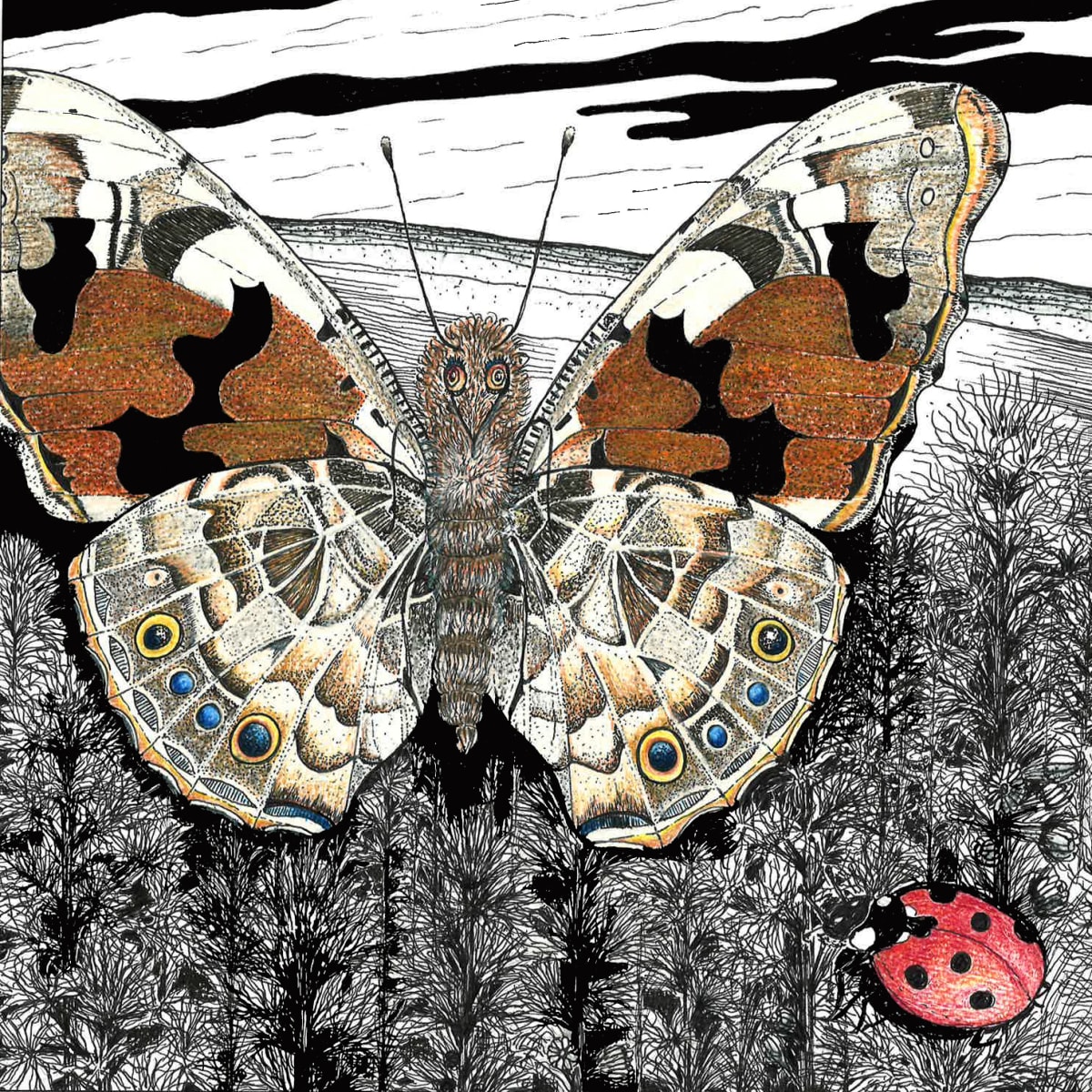 Painted Lady and Ladybug 