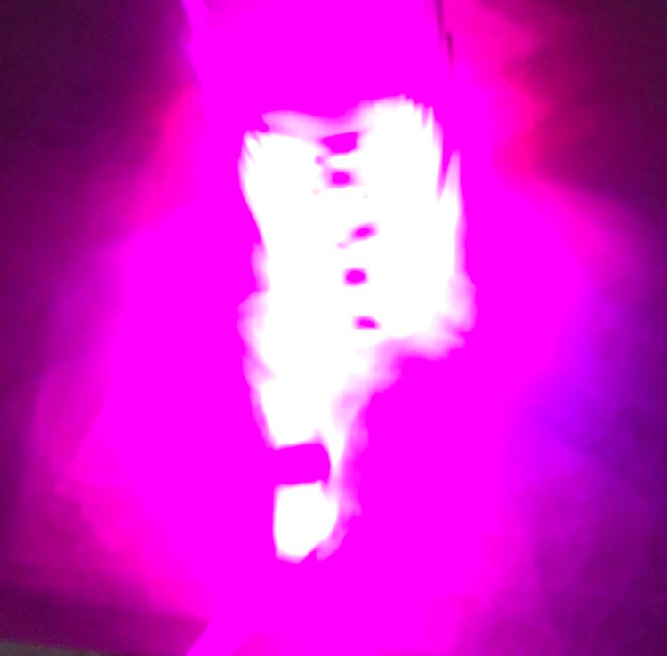 Pink Supernova by Eric Sanders, Image 1.