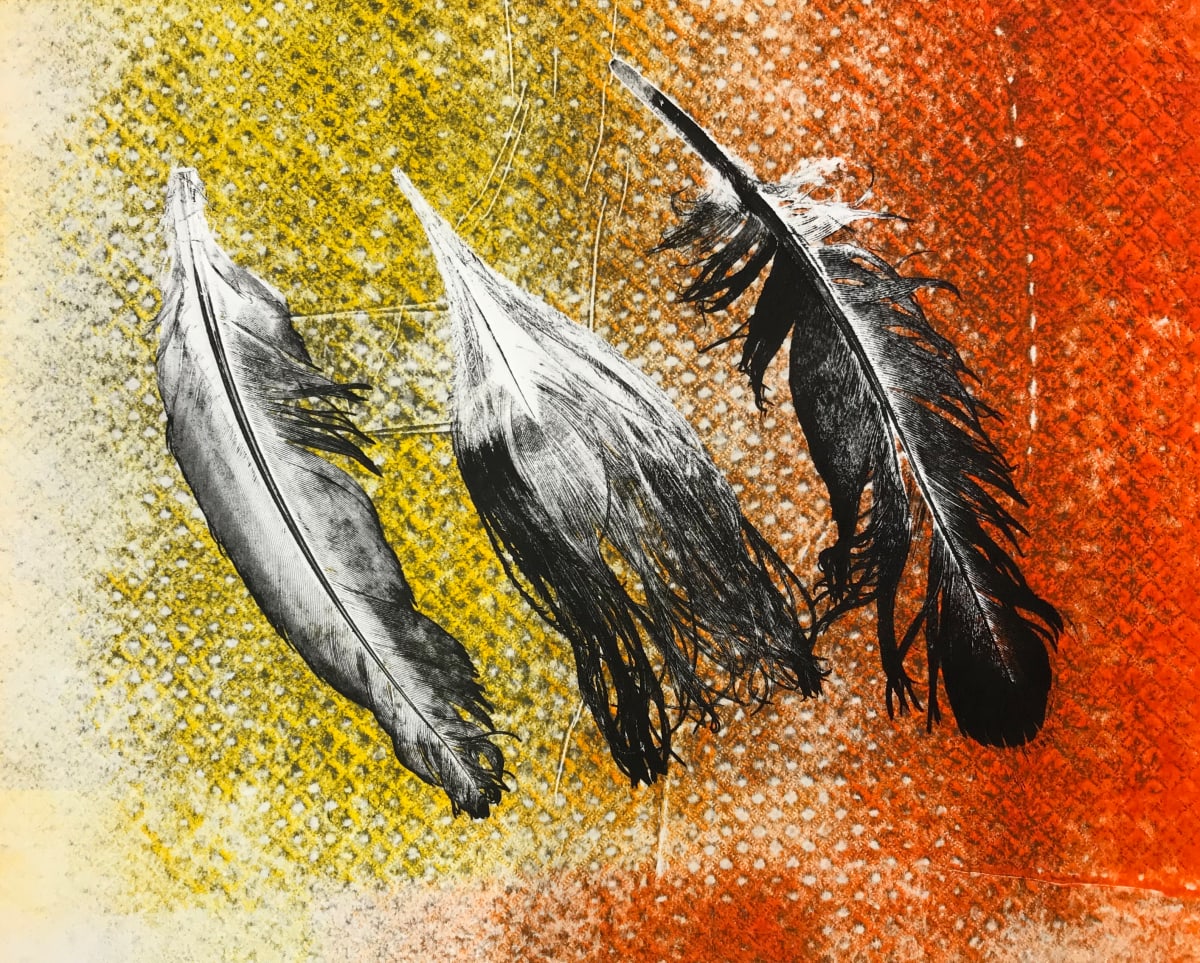 Bull Feathers by Eric Sanders, Image 1.