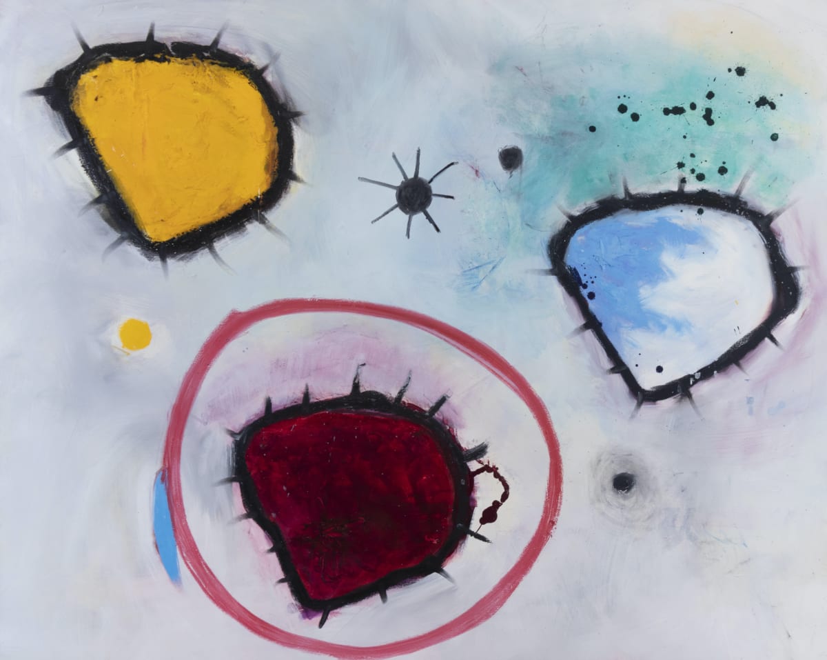 Amoebic Diversity by Eric Sanders 