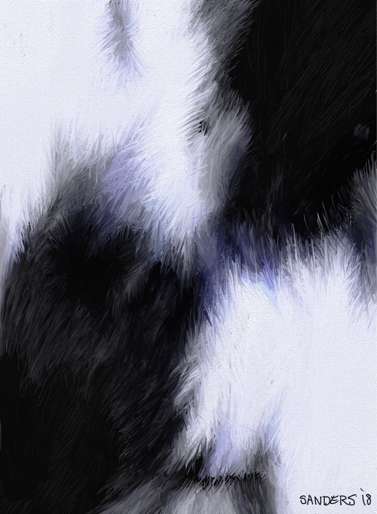Cowhide Abstract by Eric Sanders 