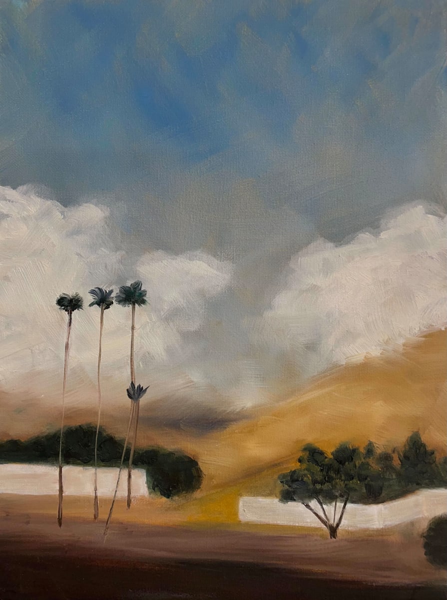 California Desert Landscape by Eric Sanders 