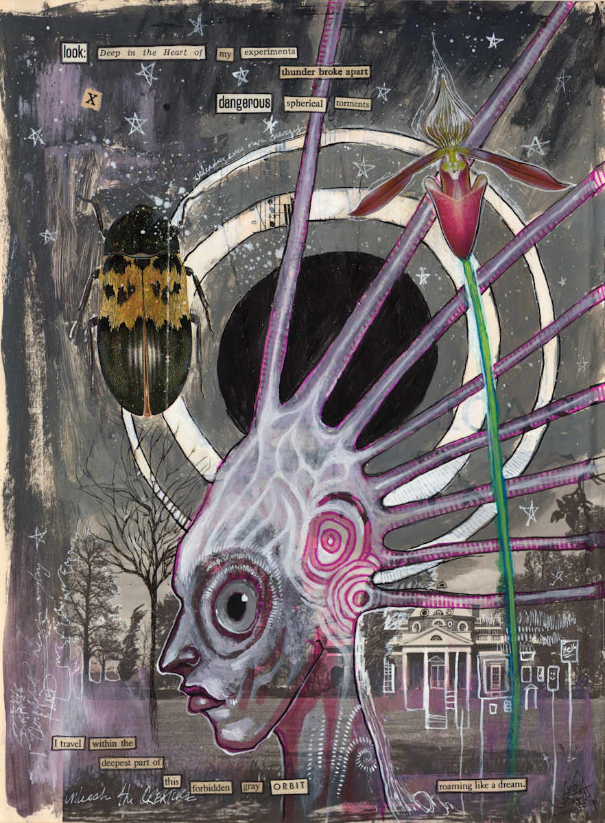 Forbidden Gray Orbit by Lydia Burris, Image 1.