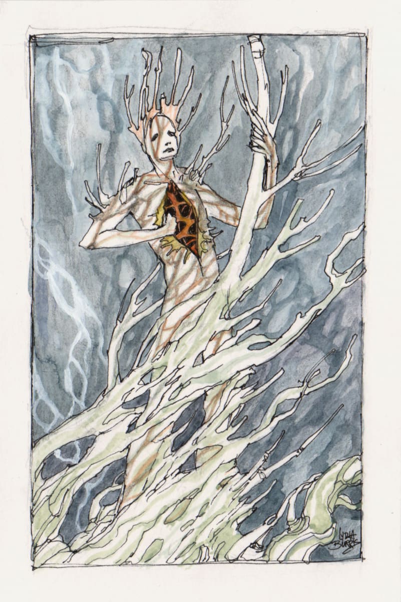 Open Chest, Image 1.
