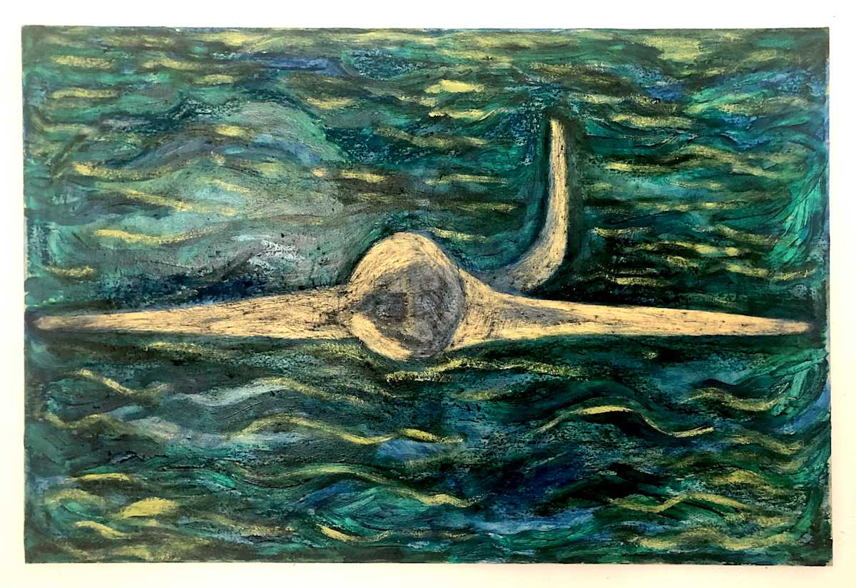 Hero of the Hudson by Anna Marie Rockwell, Image 1.