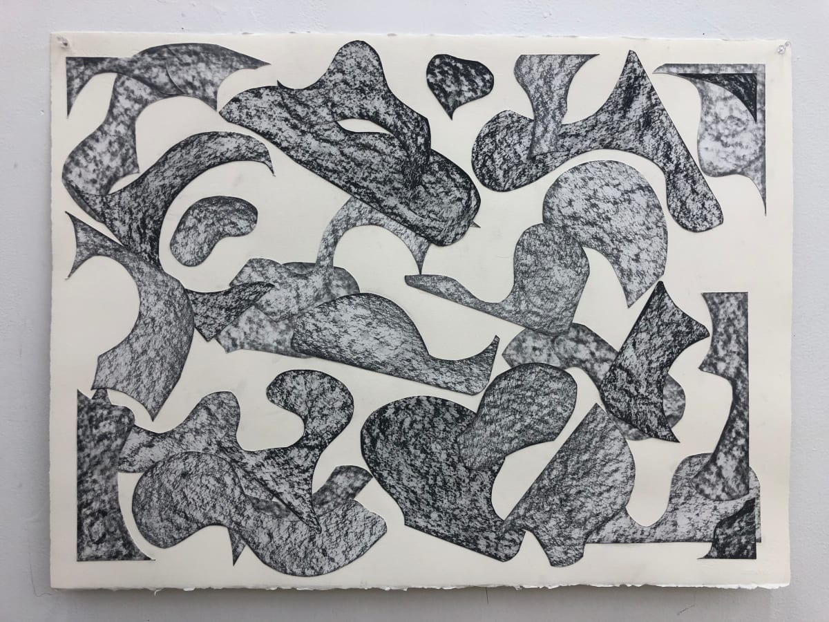 Graphite Forms by Anna Marie Rockwell, Image 1.