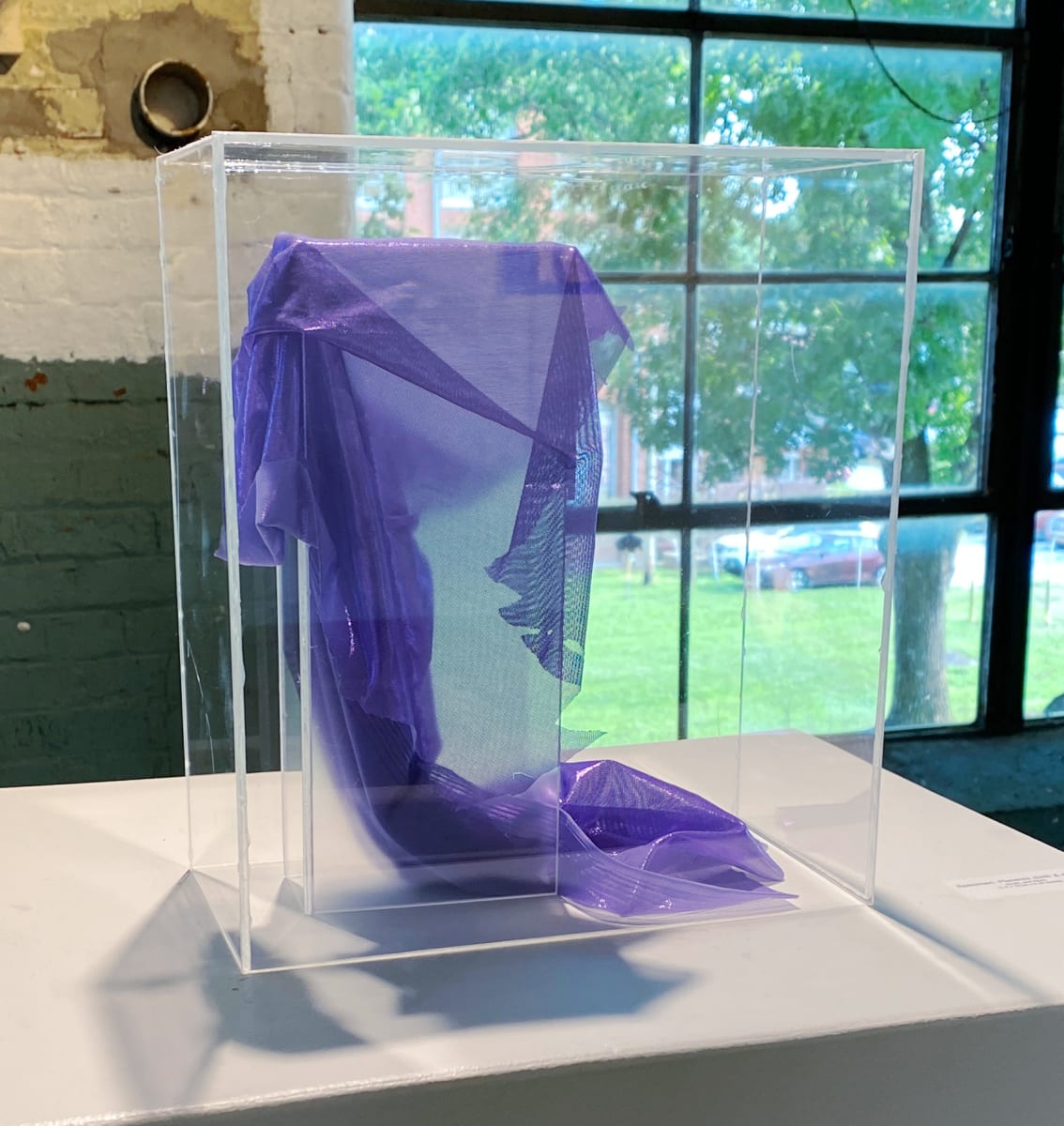 Specimen, Placenta (birth & death) by Anna Test 