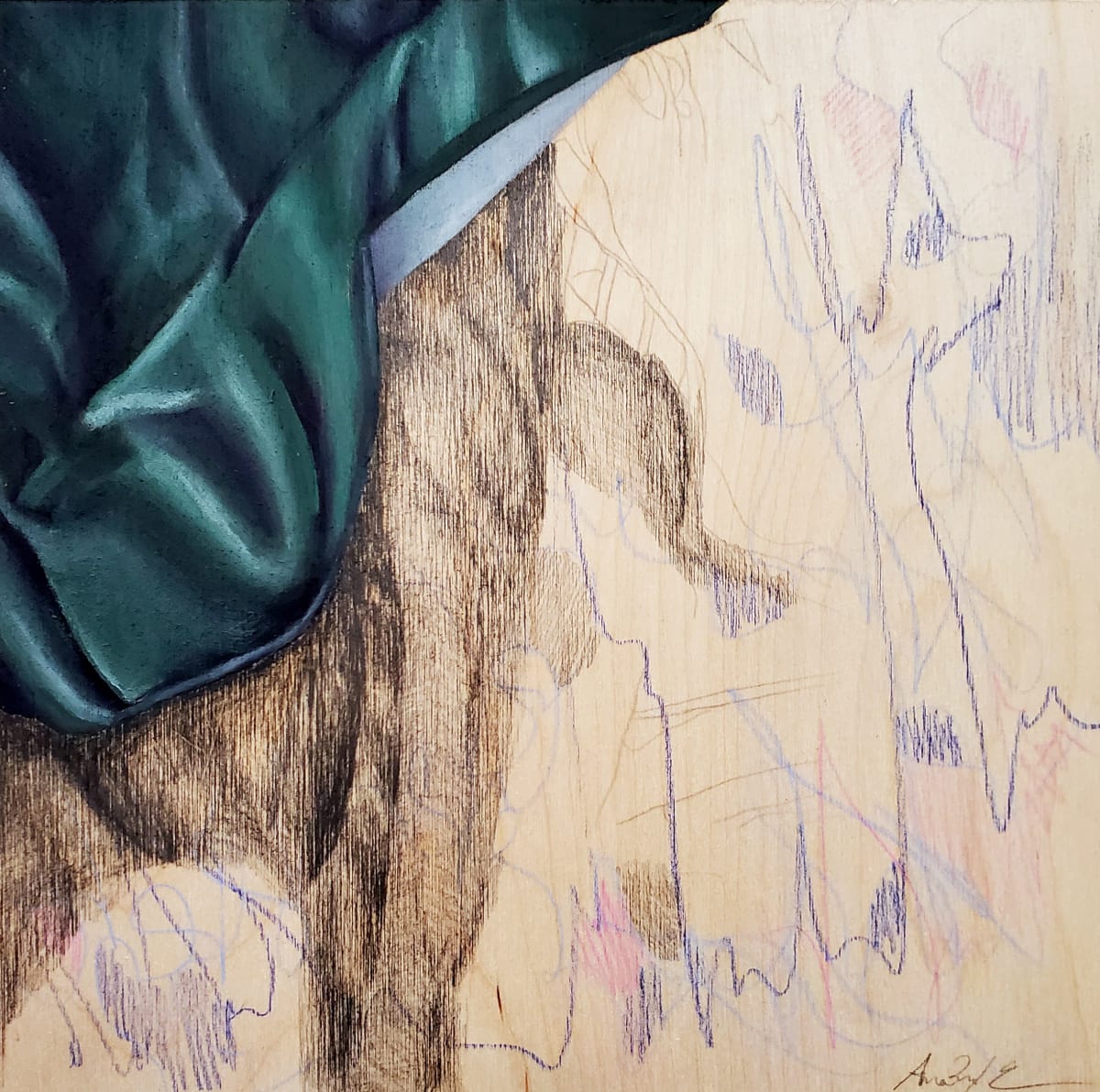 Anatomical Fabric, Shroud #1 by Anna Lyle, Image 1.