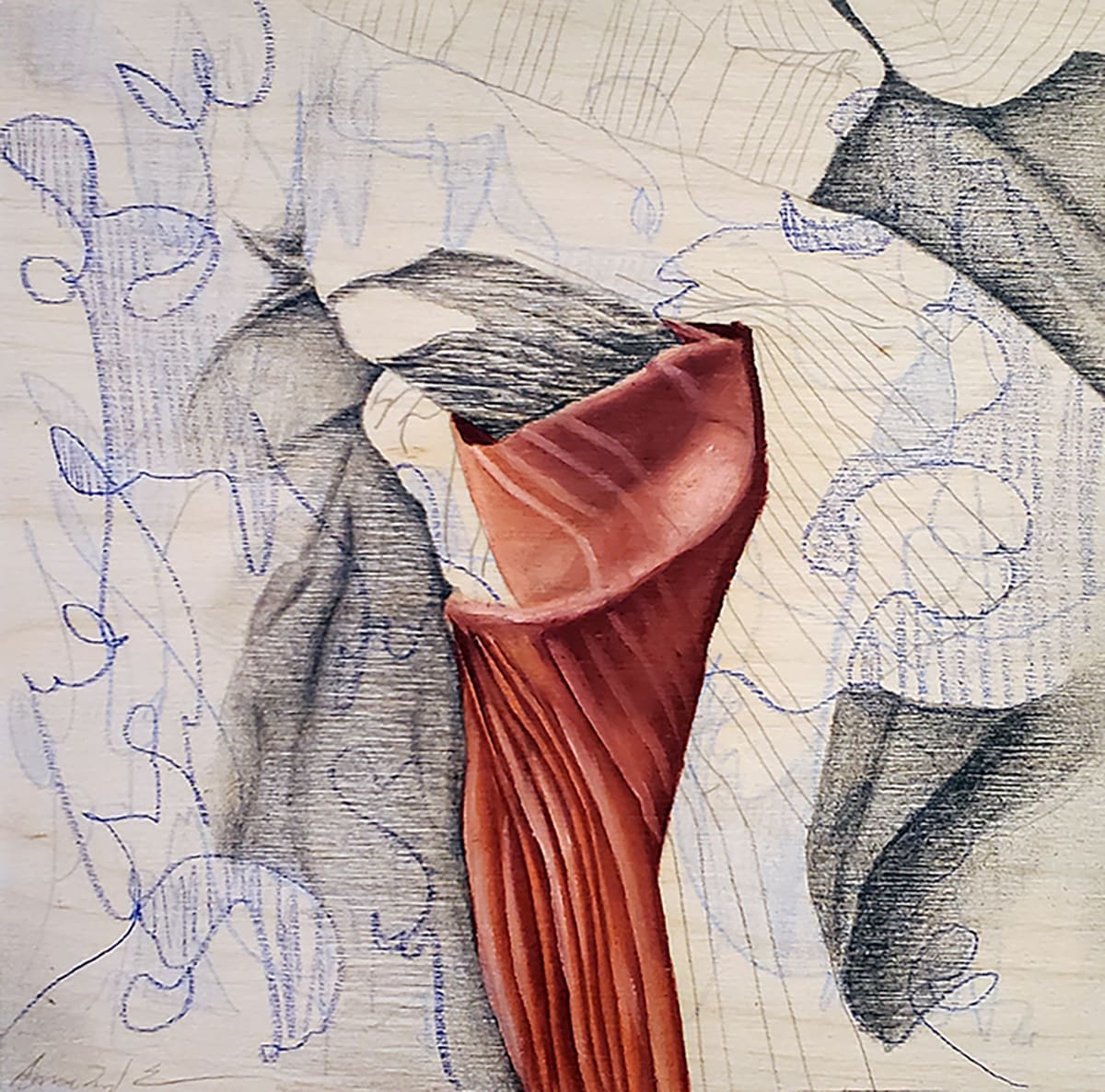 Anatomical Fabric, Shroud #3 by Anna Test 