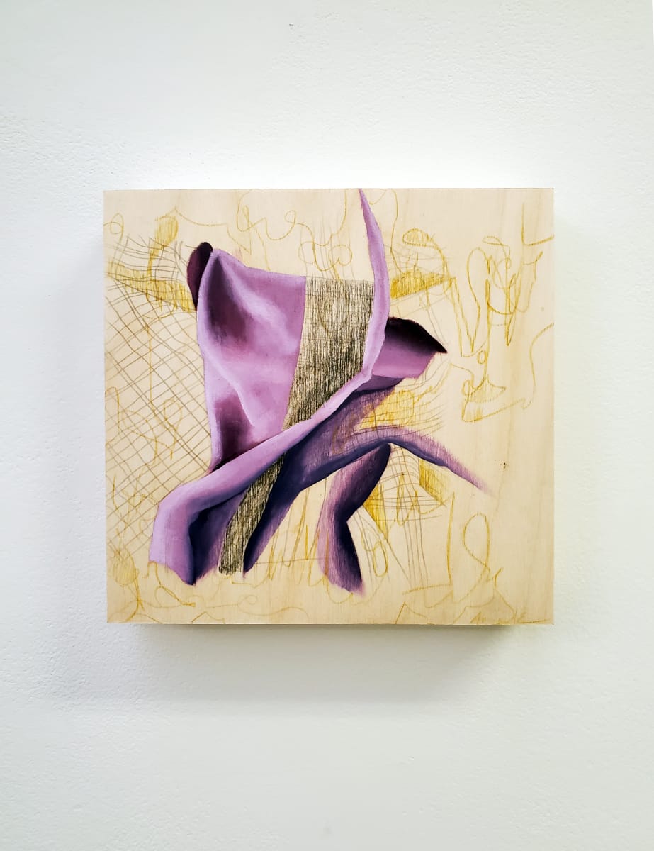 Anatomical Fabric, Shroud #4 by Anna Test 