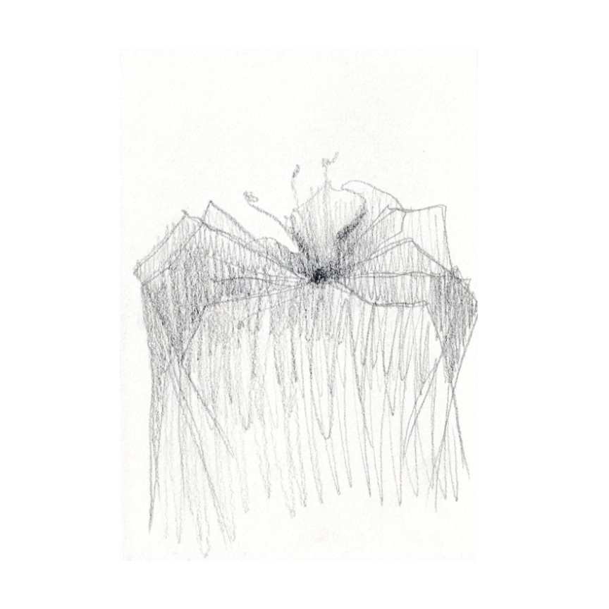 2025 Sketchbook Spiders 6 by Anna Test 
