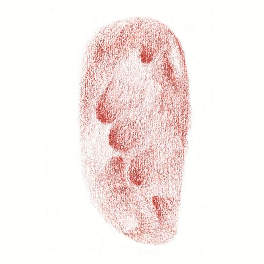 Imprint by Anna Test 