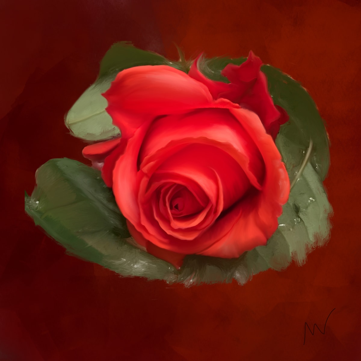 A Red Rose by Margo Thomas 