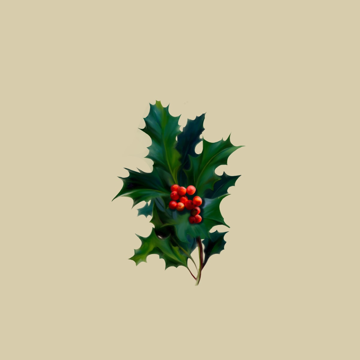 Christmas Holly by Margo Thomas 