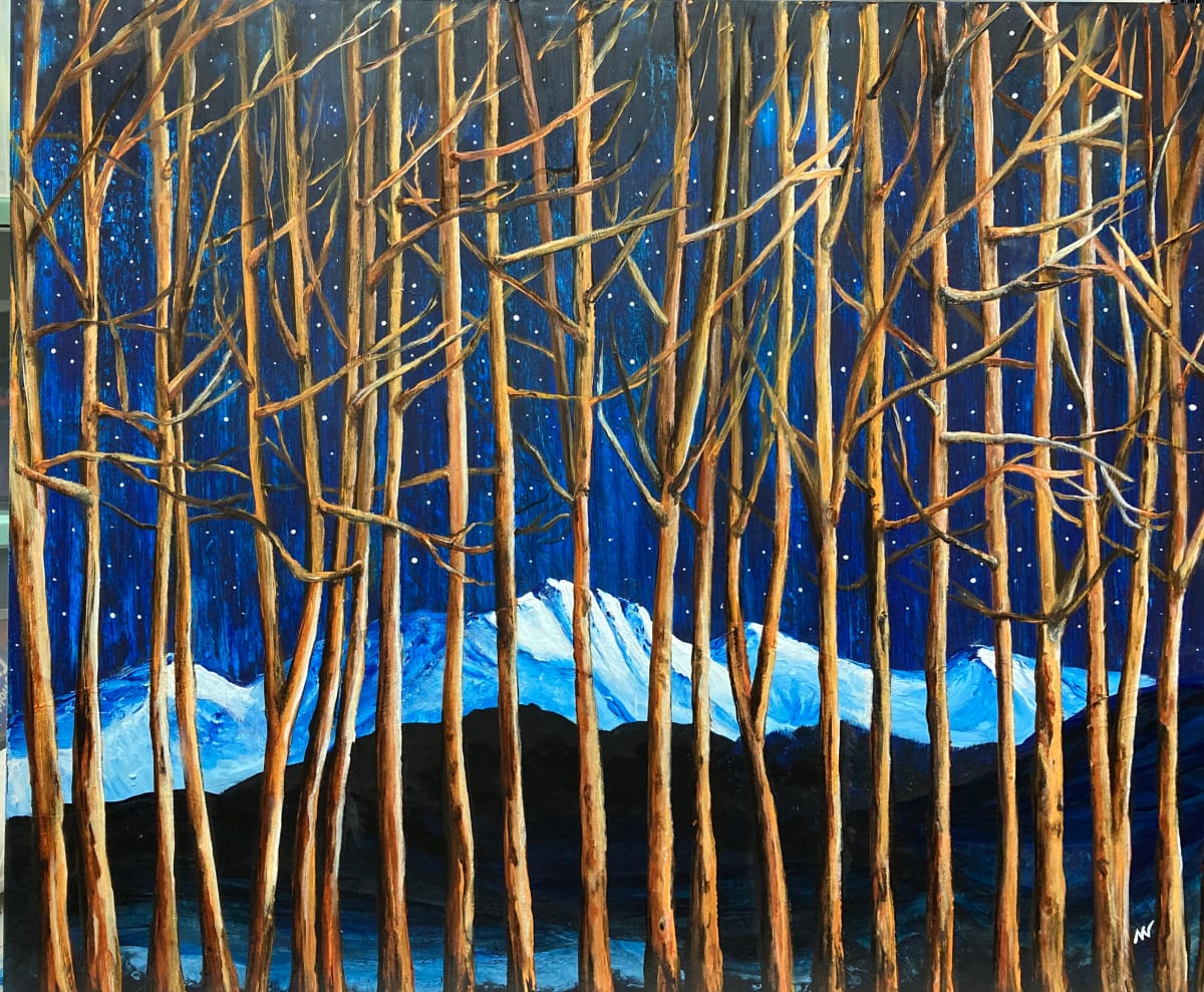 Midnight Trees - Parry Peak 