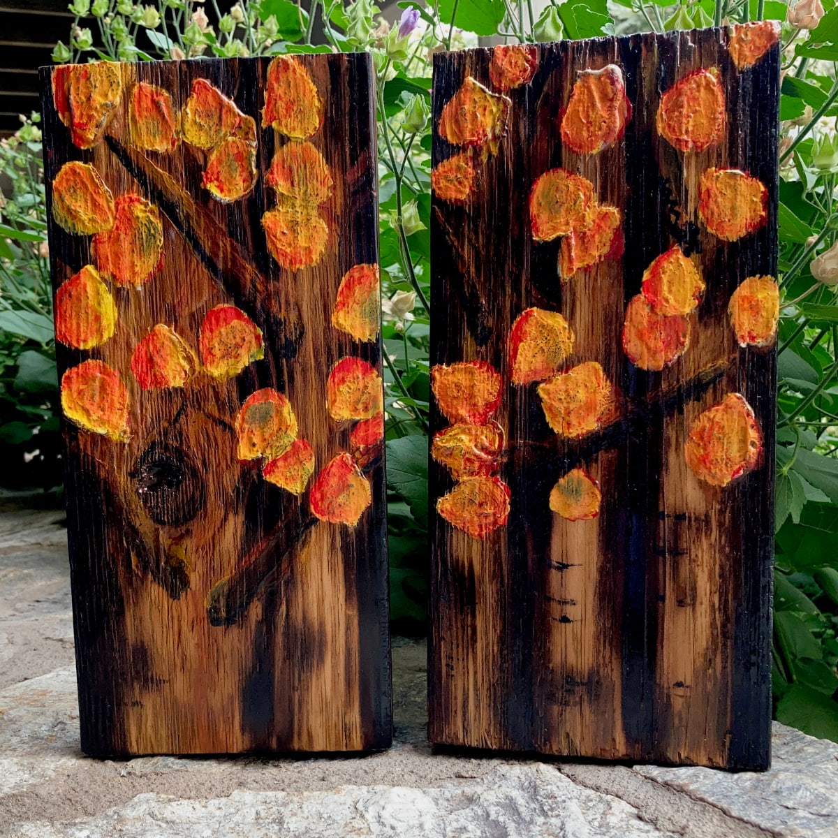 Shou Sugi Ban - Autumn Aspens 