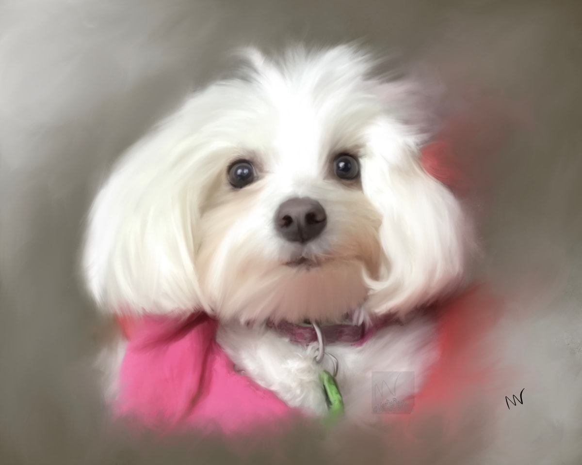 Minnie in Pink by Margo Thomas 