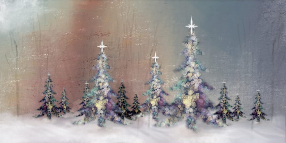 Christmas Tree Forest by Margo Thomas 