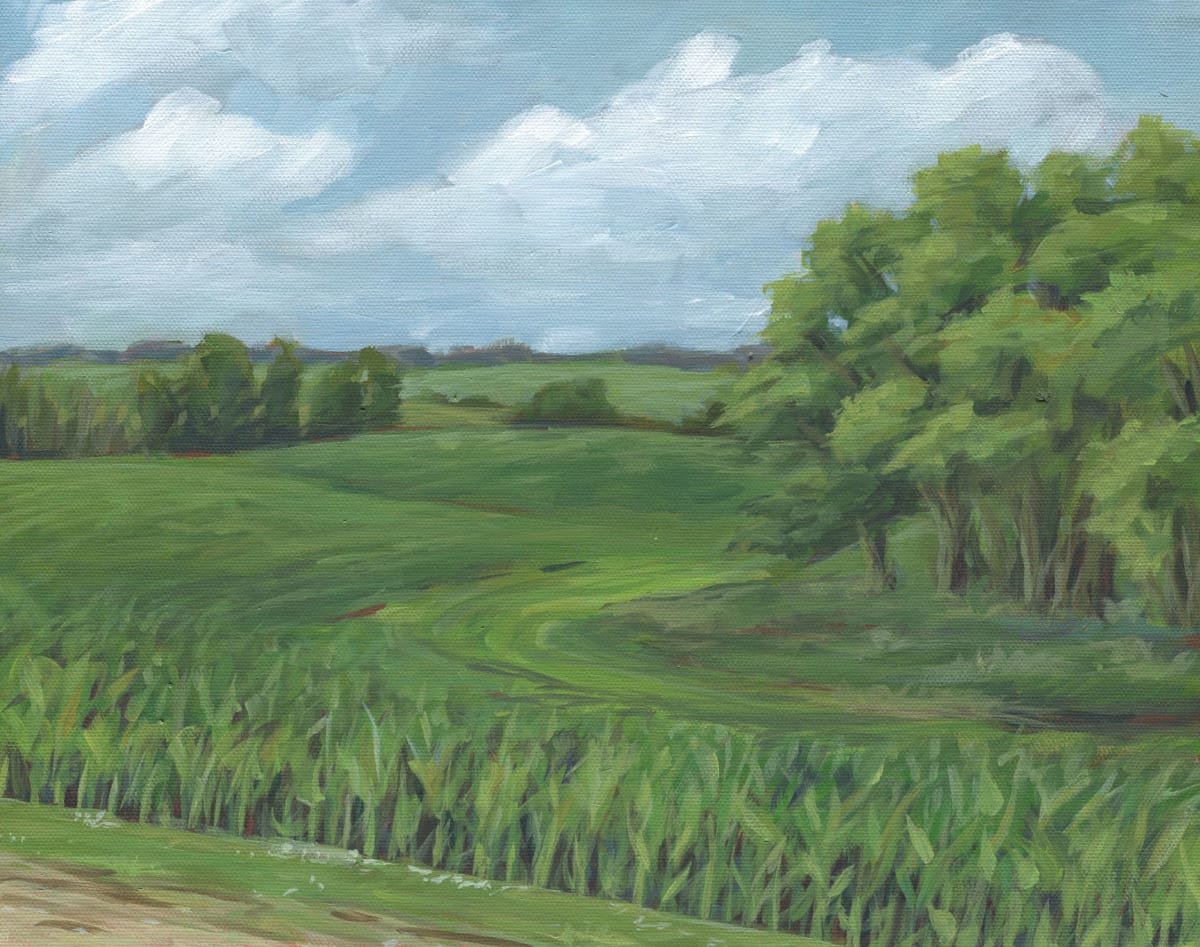 Kandiyohi Fields 